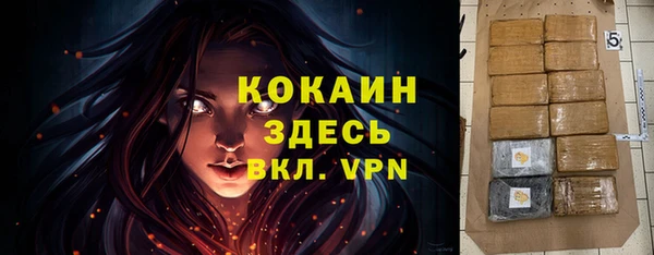PSILOCYBIN Пересвет