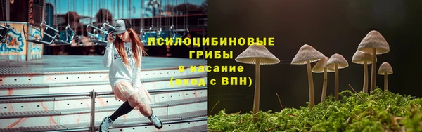 PSILOCYBIN Пересвет