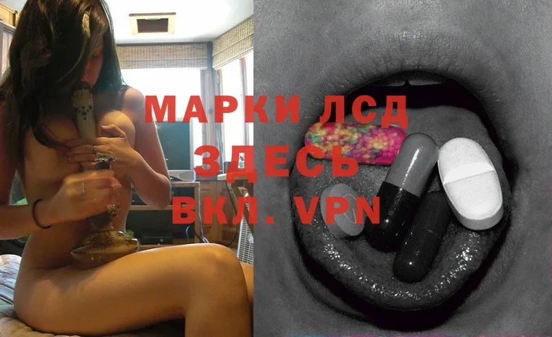 дарнет шоп  Балашов  это телеграм  Лсд 25 экстази ecstasy 