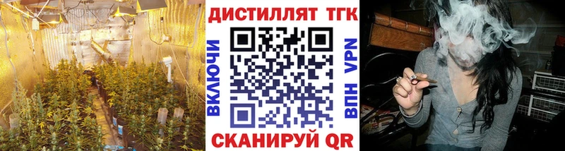 ТГК THC oil  где можно купить наркотик  Балашов 