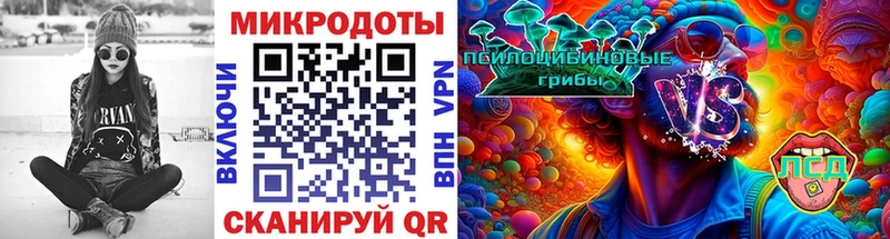 Псилоцибиновые грибы Psilocybine cubensis  магазин продажи   Балашов 