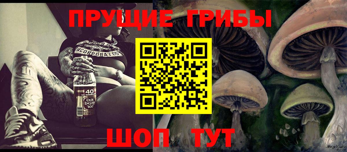 Псилоцибиновые грибы Cubensis Балашов
