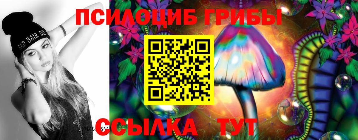 Галлюциногенные грибы Psilocybe  Вход с VPN  Балашов 