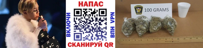 Конопля Bruce Banner  Балашов 
